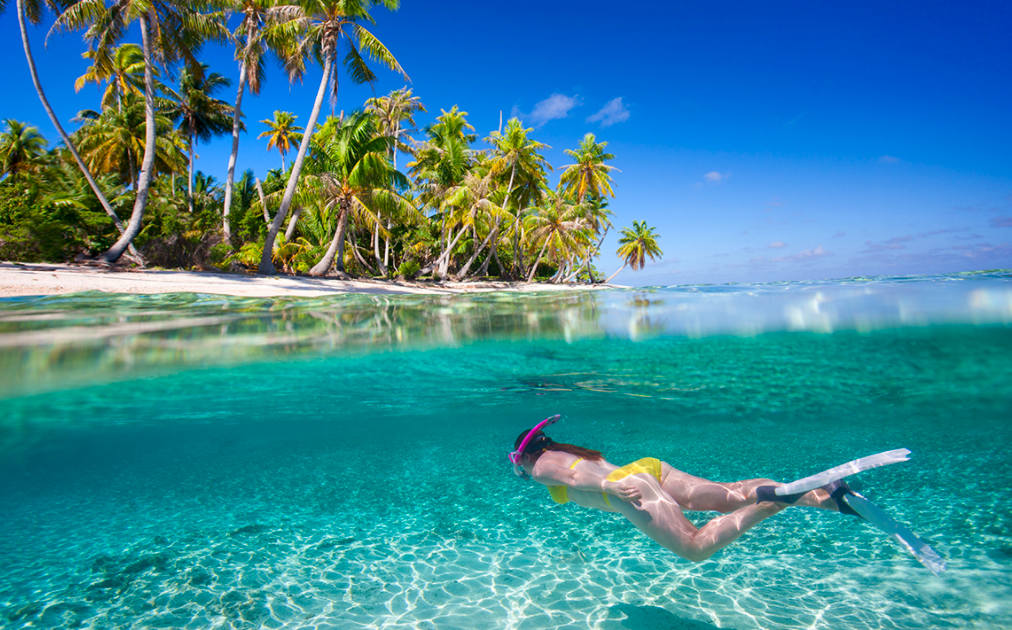 Riviera Maya has some of the best Reefs in the world for snorkeling, water visibility is one of the best in the world.